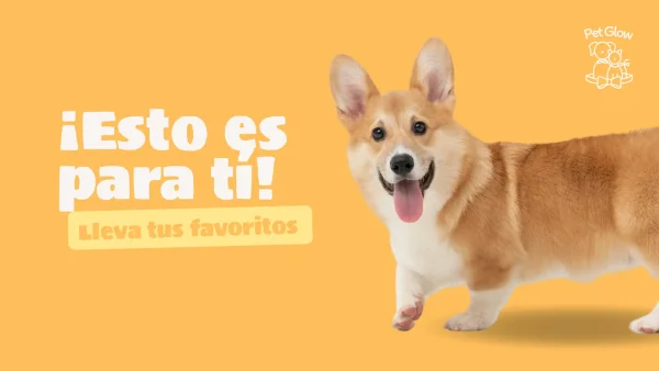 This gift card is for you! (Gift Card) - Image 2