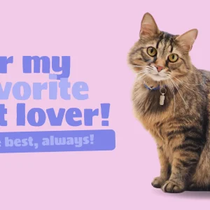 For my favorite cat lover! (Gift Card)