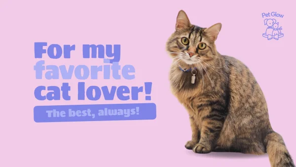 For my favorite cat lover! (Gift Card)