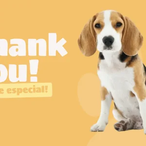 Thank you, you're Special! (Gift Card)
