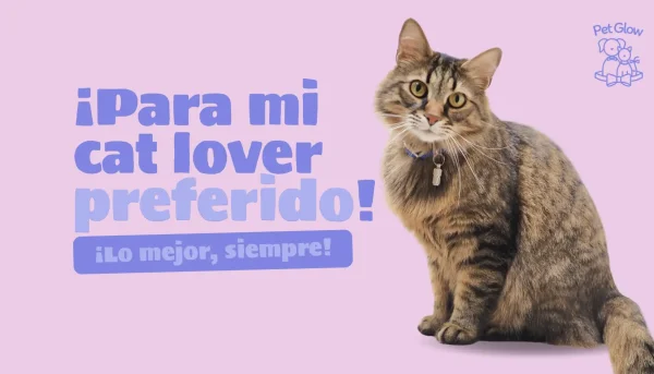 For my favorite cat lover! (Gift Card) - Image 2