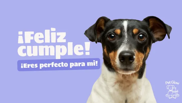 Happy Birthday! you're paw-fect to me! (Gift Card) - Image 2
